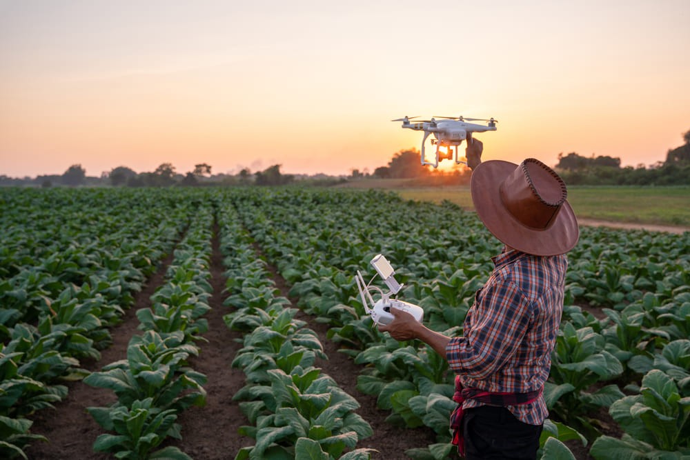 La Ciencia y la Innovación son Cruciales para el Futuro de los Sistemas Agroalimentarios en las Américas Podcast