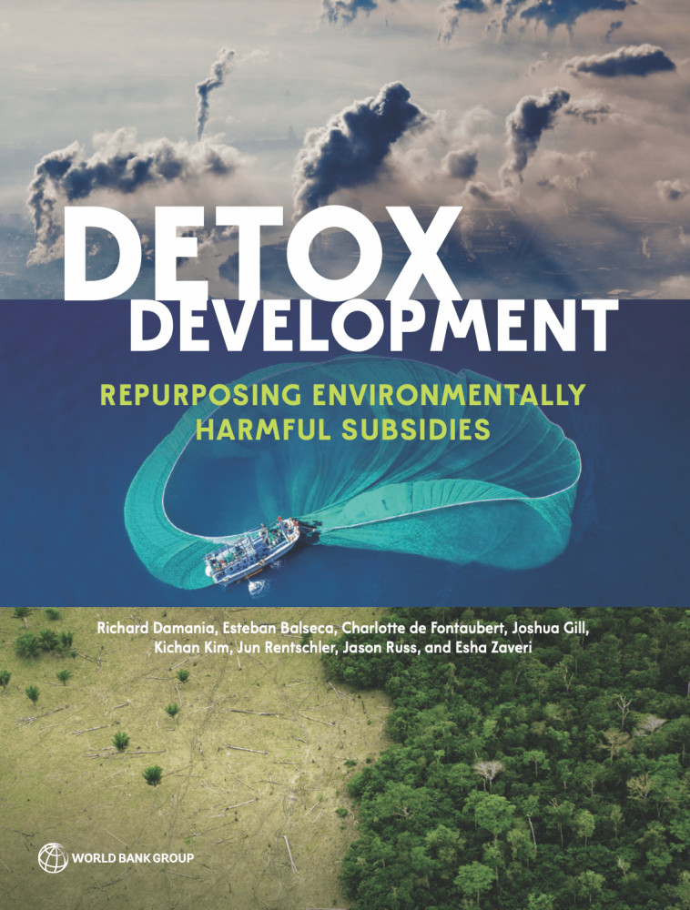 Detox Development: Repurposing Environmentally Harmful Subsidies