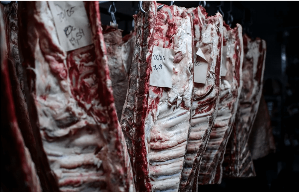 Argentina negotiates meat prices for the domestic market
