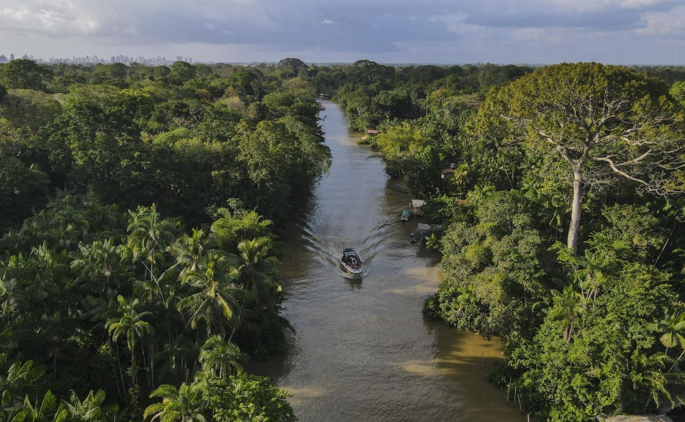Development banks launch Green Coalition for Amazonia