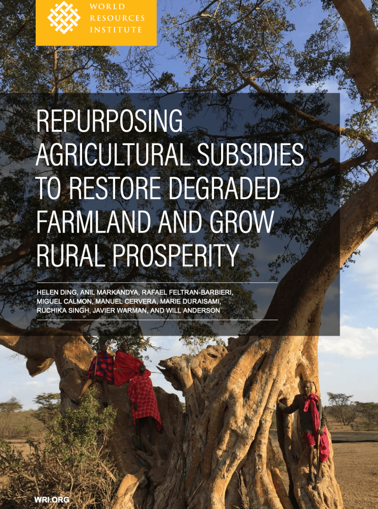 Repurposing Agricultural Subsidies to Restore Degraded Farmland and Grow Rural Prosperity