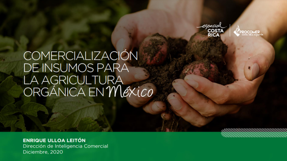 Marketing of inputs for organic agriculture in Mexico