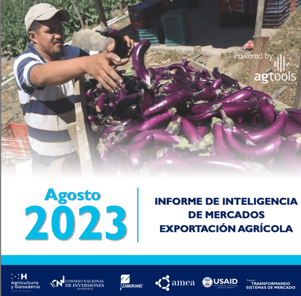 Informe de Inteligencia de Mercados Exportación Agrícola de Agosto del 2023