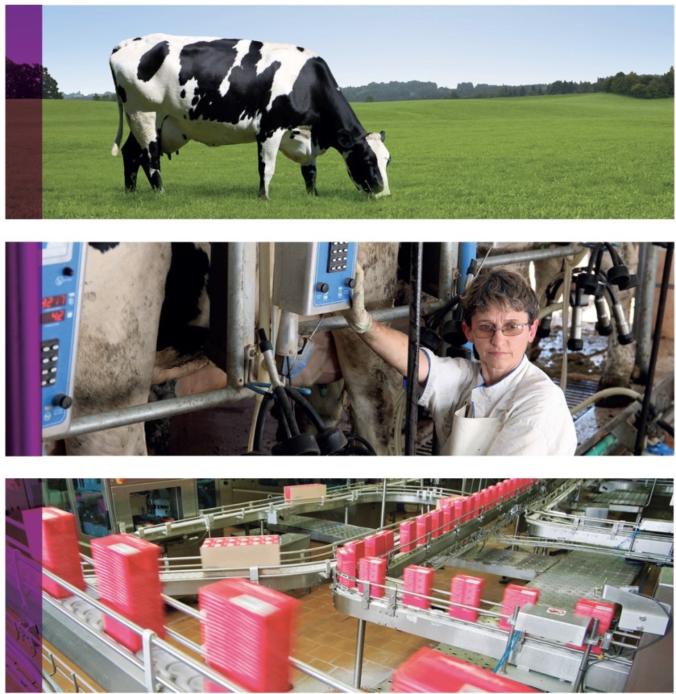 SITUATION OF THE DAIRY CHAIN ​​IN LATIN AMERICA IN 2014