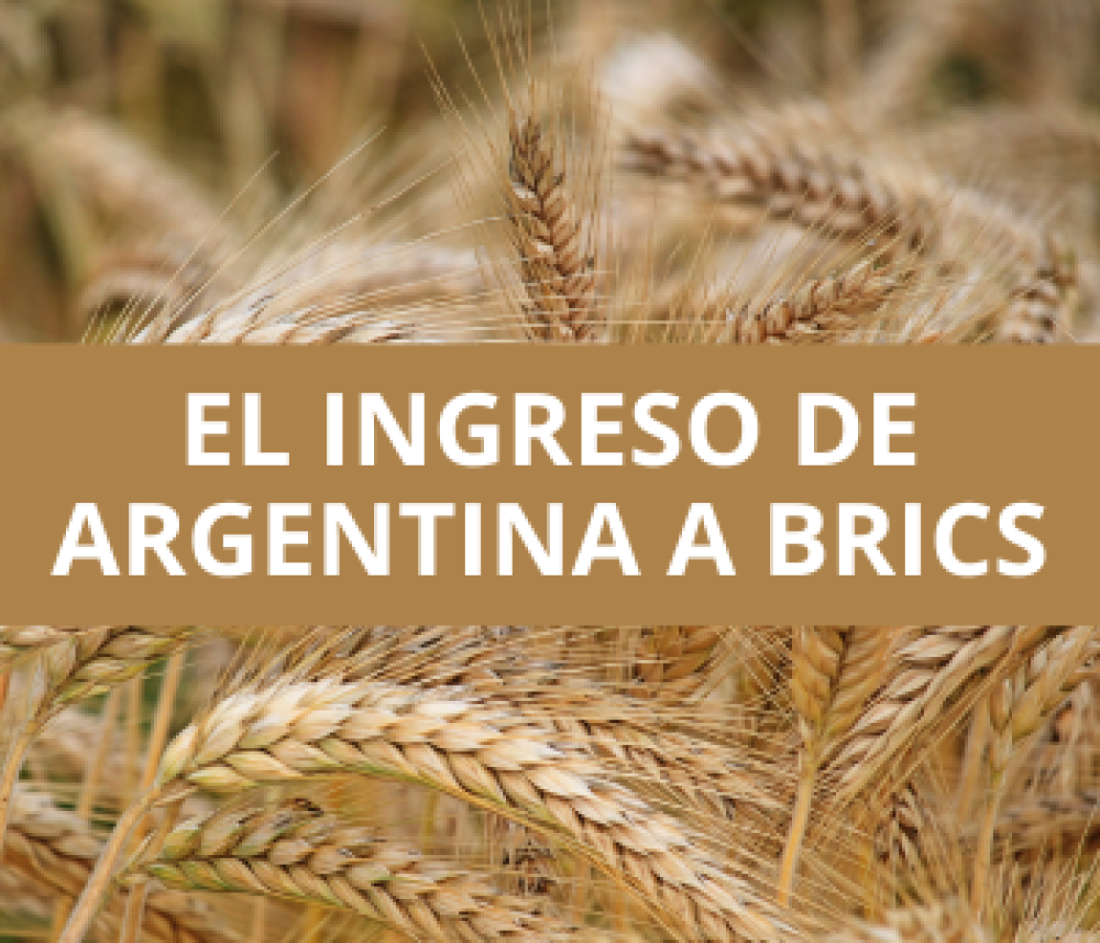 Ingreso de Argentina al BRICS