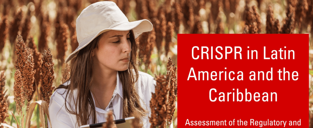 Assessing agricultural gene editing regulation in Latin America: an analysis of how policy windows and policy entrepreneurs shape agricultural gene editing regulatory regimes