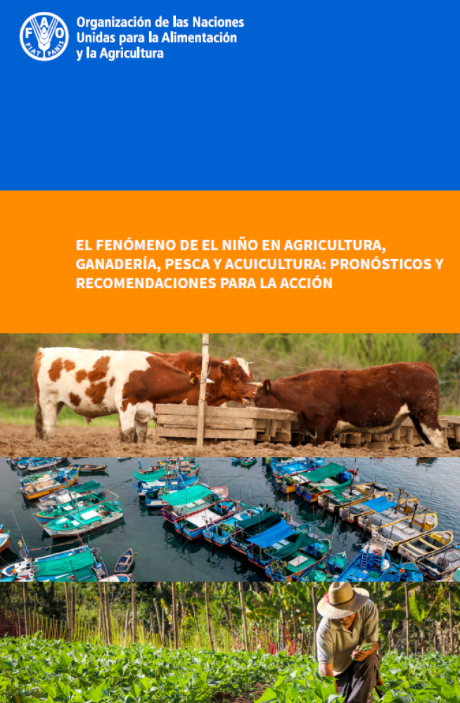 El fenómeno de El Niño en agricultura, ganadería, pesca y acuicultura: Pronósticos y recomendaciones para la acción