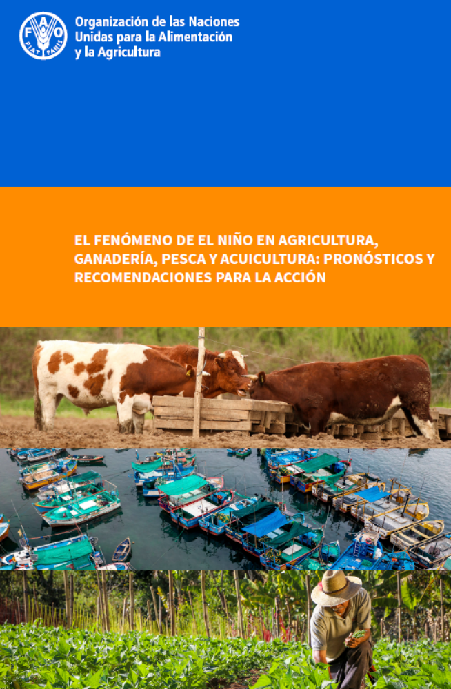 The El Niño phenomenon in agriculture, livestock, fishing and aquaculture: Forecasts and recommendations for action
