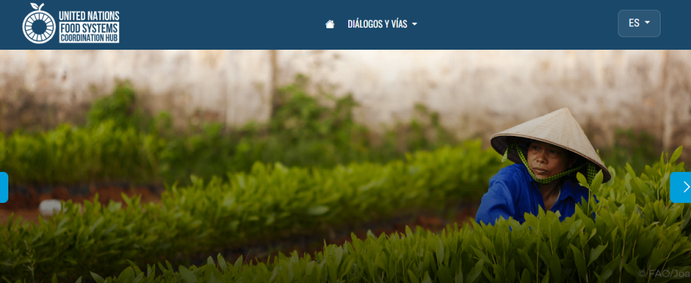 Food Systems Coordination Centre