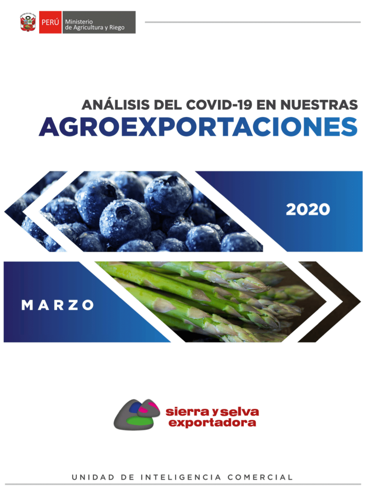 Perú: Análisis del COVID-19 en las Agroexportaciones Peruanas