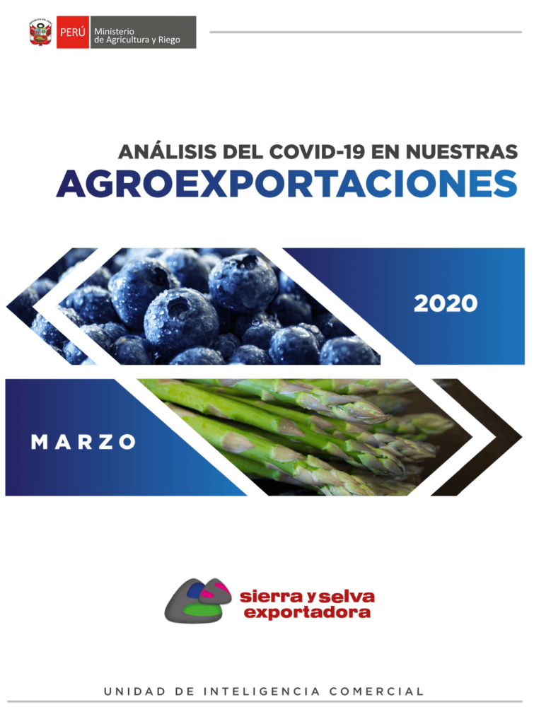 Peru: Analysis of COVID-19 in Peruvian Agroexports