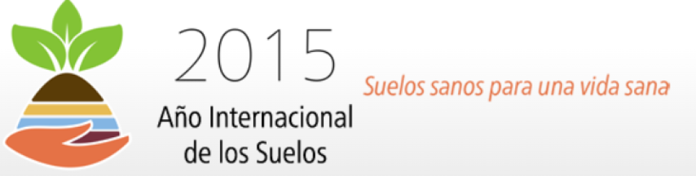 Healthy Soils for a Healthy Life. FAO: International Year of Soils.