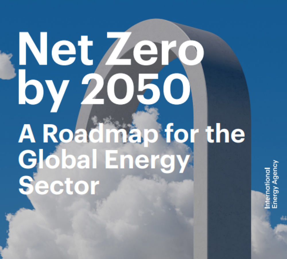 Cero emisiones netas para 2050 Una hoja de ruta para el sector energético mundial