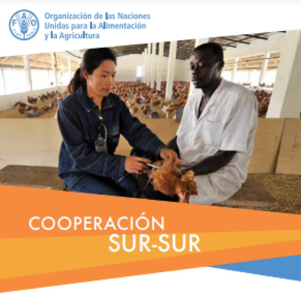 Cooperación Sur-Sur