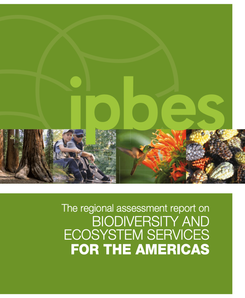 Informe de evaluación regional de la IPBES sobre biodiversidad y servicios ecosistémicos para las Américas