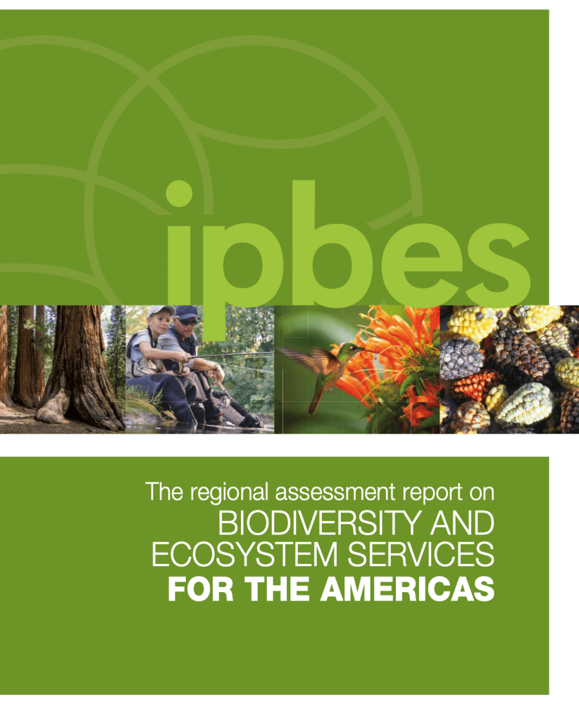 The IPBES regional assessment report on biodiversity and ecosystem services for the Americas