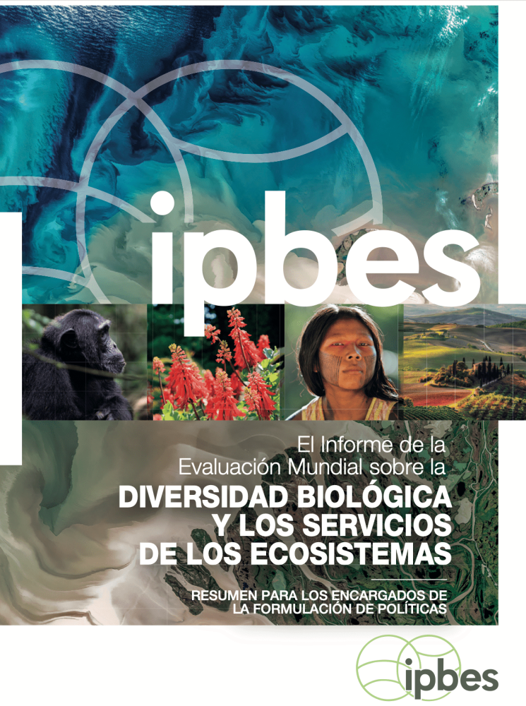 Informe de evaluación global sobre biodiversidad y servicios de los ecosistemas