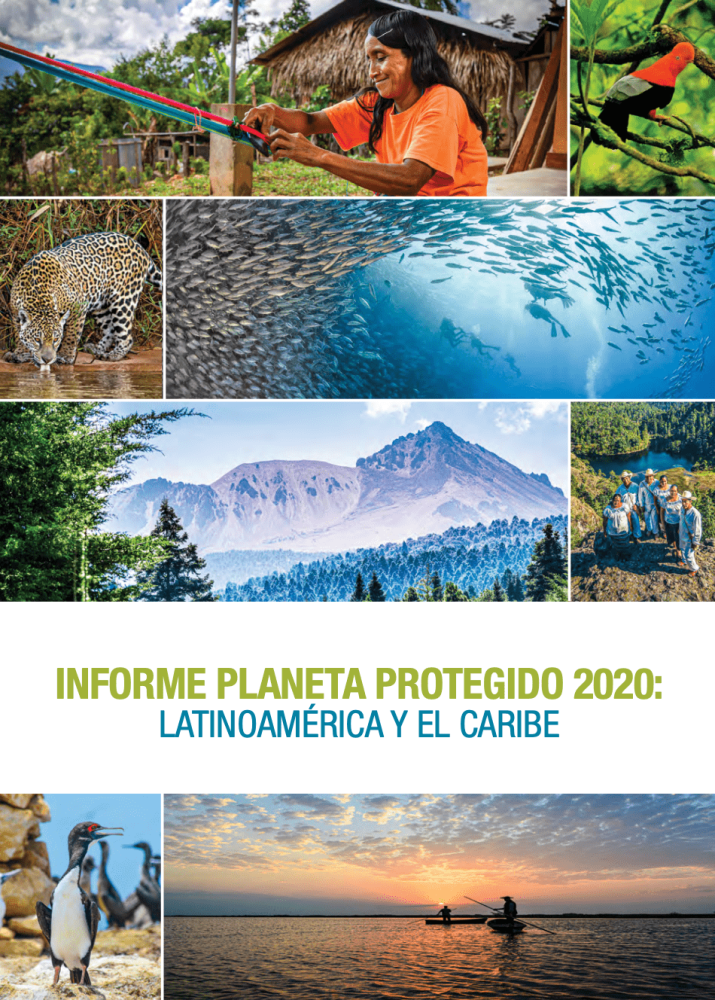 Informe Planeta Protegido 2020: Latinoamérica y el Caribe