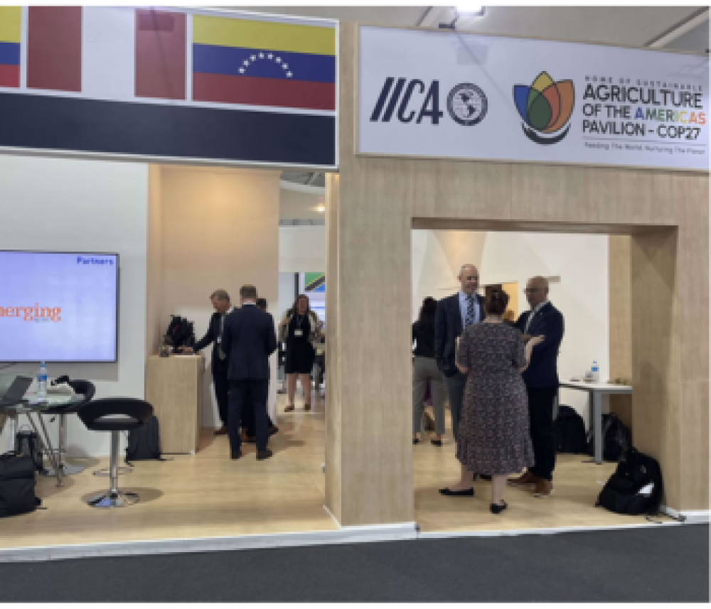 Sustainable Agriculture House of the Americas: Pavilion at COP27