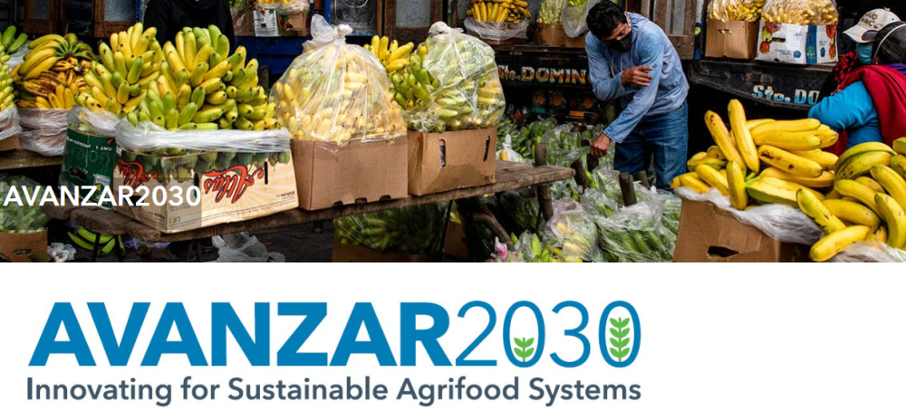 Avanzar2030