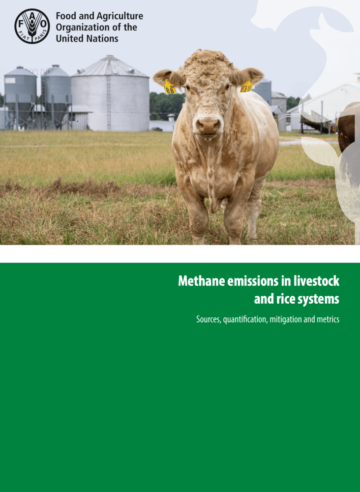 Methane emissions in livestock and rice systems: Sources, quantification, mitigation and metrics