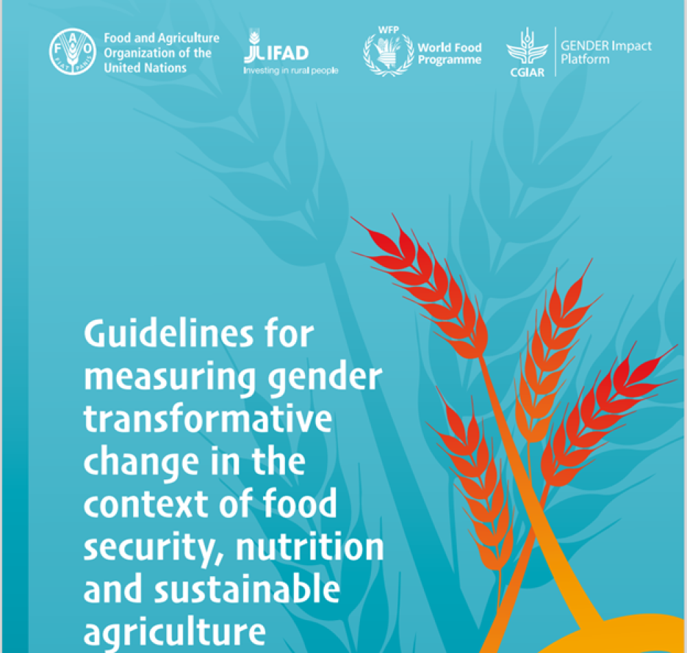 Guidelines for measuring gender transformative change in the context of food security, nutrition and sustainable agriculture