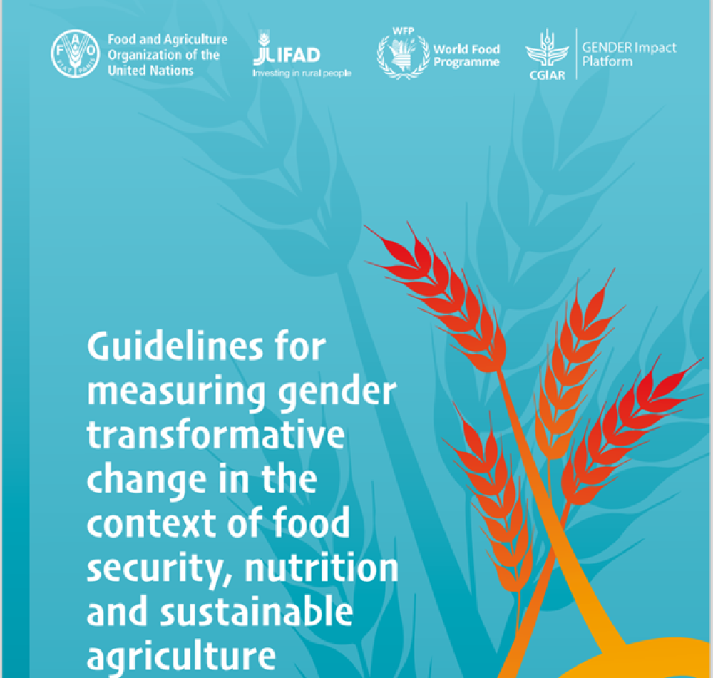 (EN) Guidelines for measuring gender transformative change in the context of food security, nutrition and sustainable agriculture