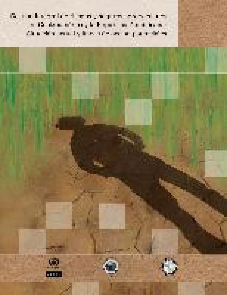 Integrated risk management and agricultural insurance in Central America and the Dominican Republic: current situation and potential lines of action