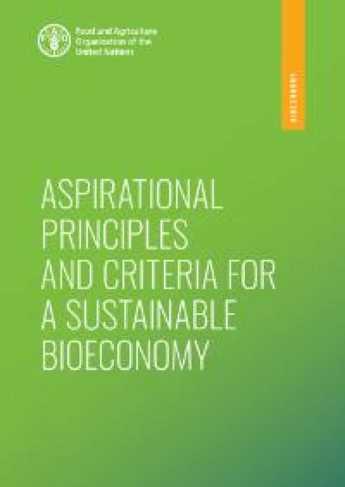 Aspirational principles and criteria for a sustainable bioeconomy