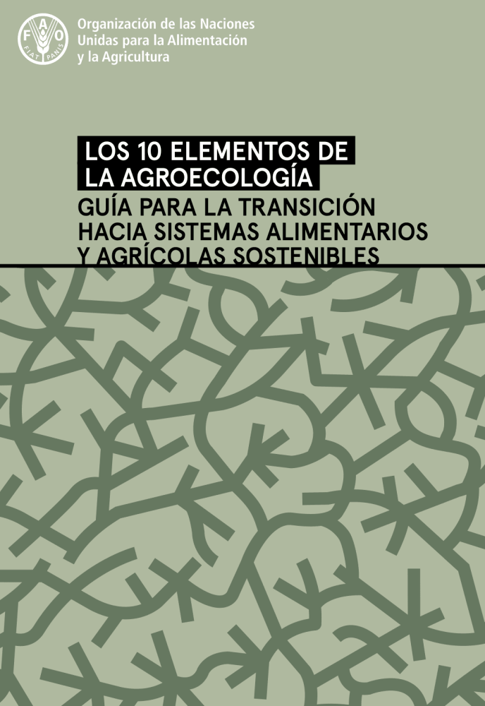 The 10 elements of agroecology: A guide for the transition to sustainable food and farming systems.
