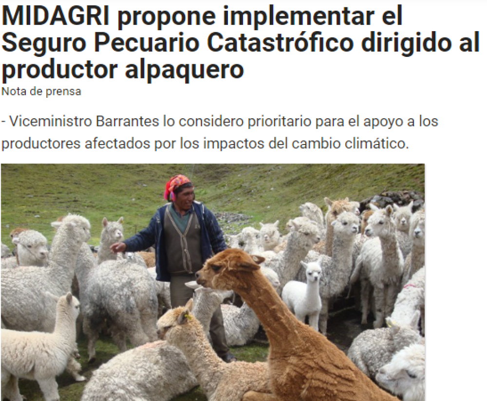 MIDAGRI Perú propone implementar el Seguro Pecuario Catastrófico dirigido al productor alpaquero