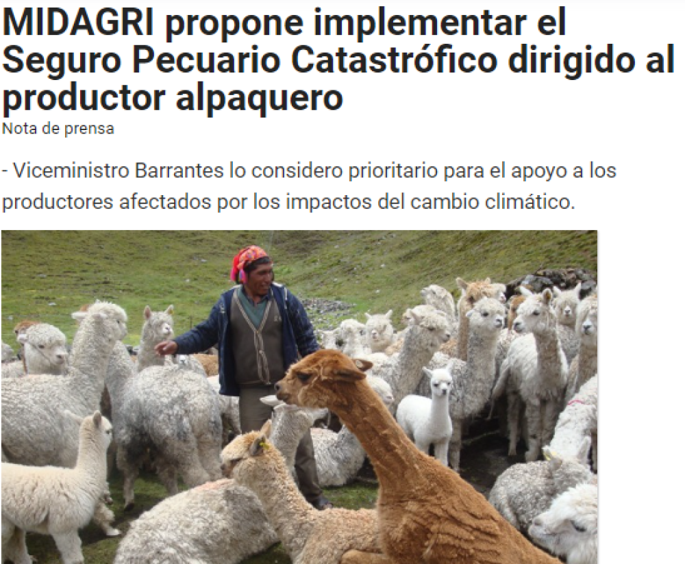 MIDAGRI Peru proposes to implement Catastrophic Livestock Insurance aimed at alpaca producers