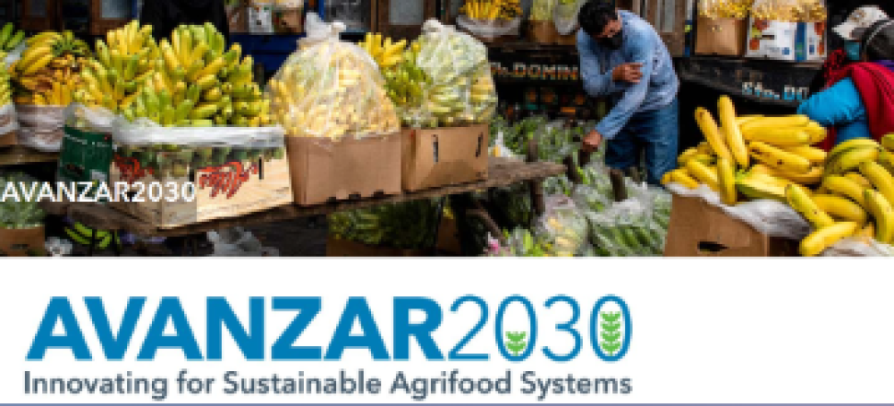 The benefits and constraints of participation in forest management. The case of Taita Hills, Kenya