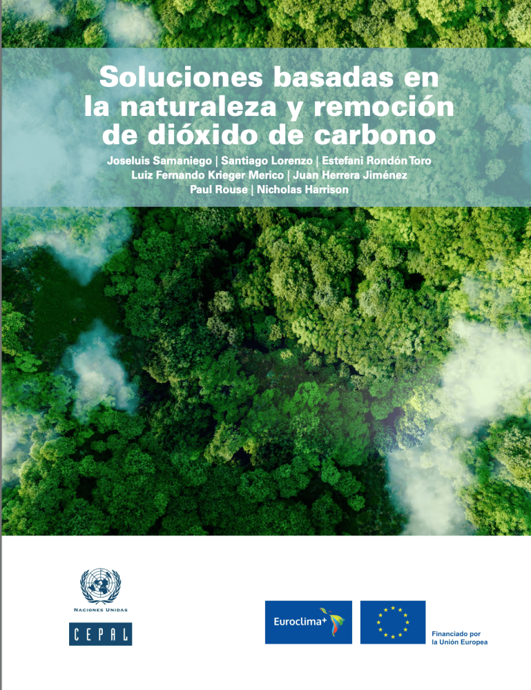 Nature-based solutions and carbon dioxide removal
