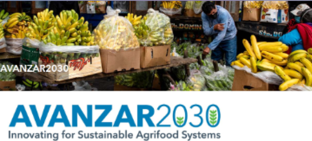 Adoption of multiple sustainable agricultural practices in rural Ethiopia