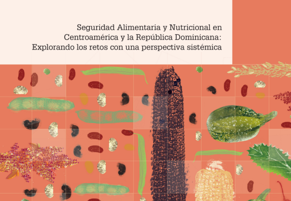 Seguridad alimentaria y nutricional en Centroamérica y la República Dominicana: explorando los retos con una perspectiva sistémica