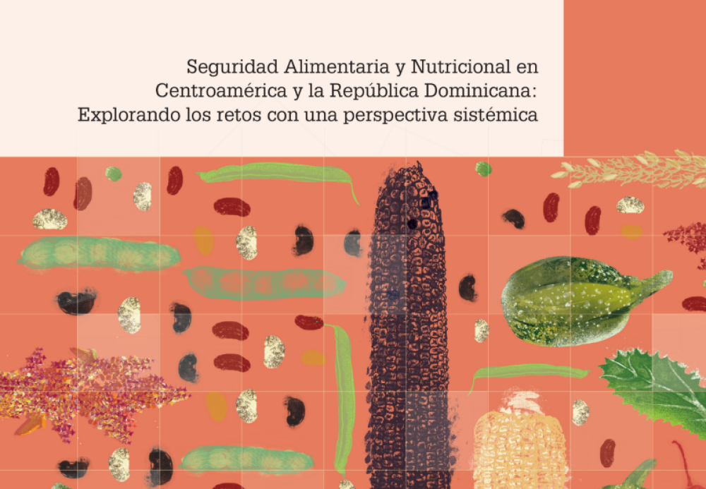 Food and nutritional security in Central America and the Dominican Republic: exploring the challenges with a systemic perspective [ES]
