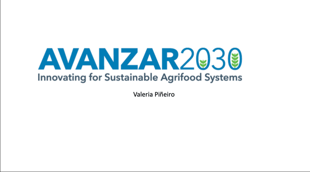 Avanzar 2030