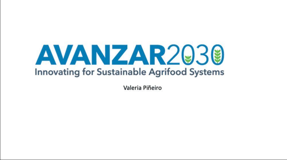 Advancing 2030