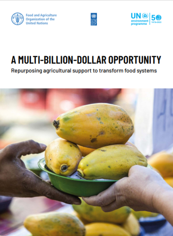 A multi-billion-dollar opportunity – Repurposing agricultural support to transform food systems