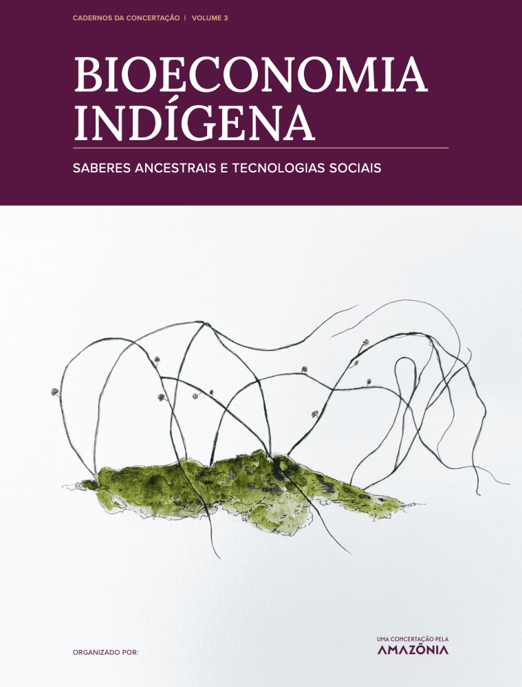 Bioeconomía indígena. Conocimientos ancestrales y tecnologías sociales