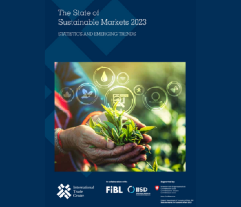 Estado de los mercados sostenibles 2023: estadísticas y tendencias emergentes