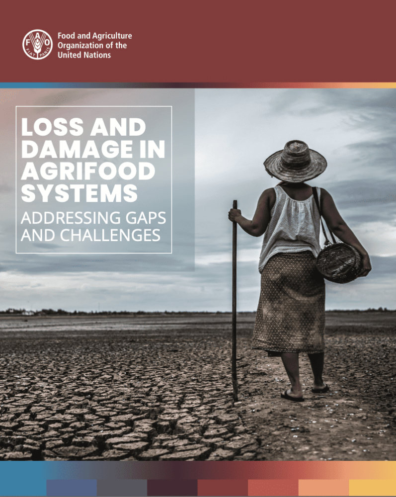 Loss and damage and agrifood systems