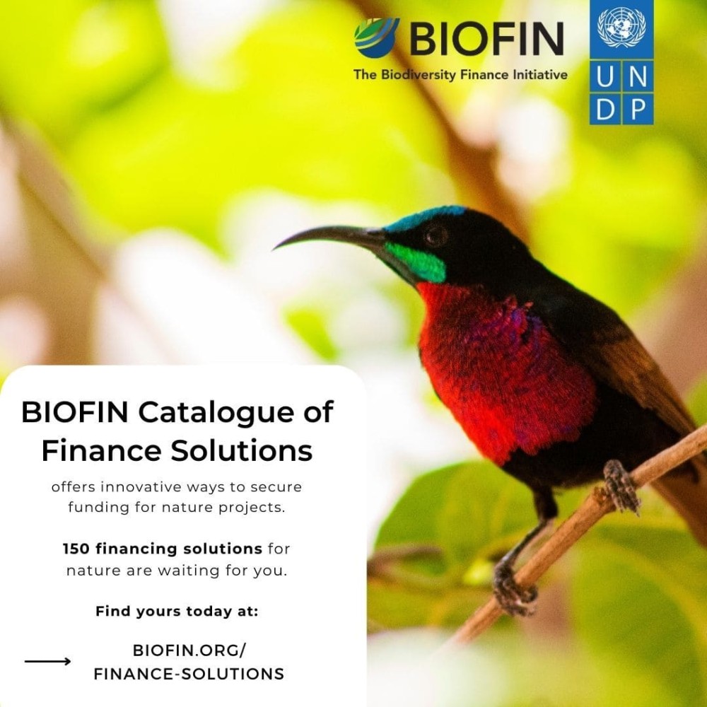 BIOFIN's catalog of financing solutions