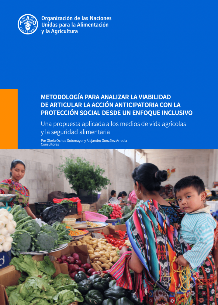 Methodology to analyze the feasibility of articulating anticipatory action with social protection from an inclusive approach.