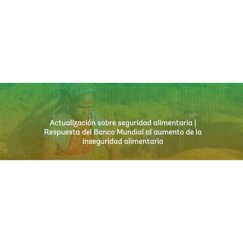 Food Safety Update | World Bank response to rising food insecurity