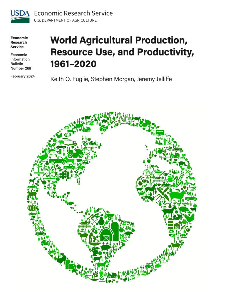 Producción agrícola mundial, uso y productividad, 1961-2020