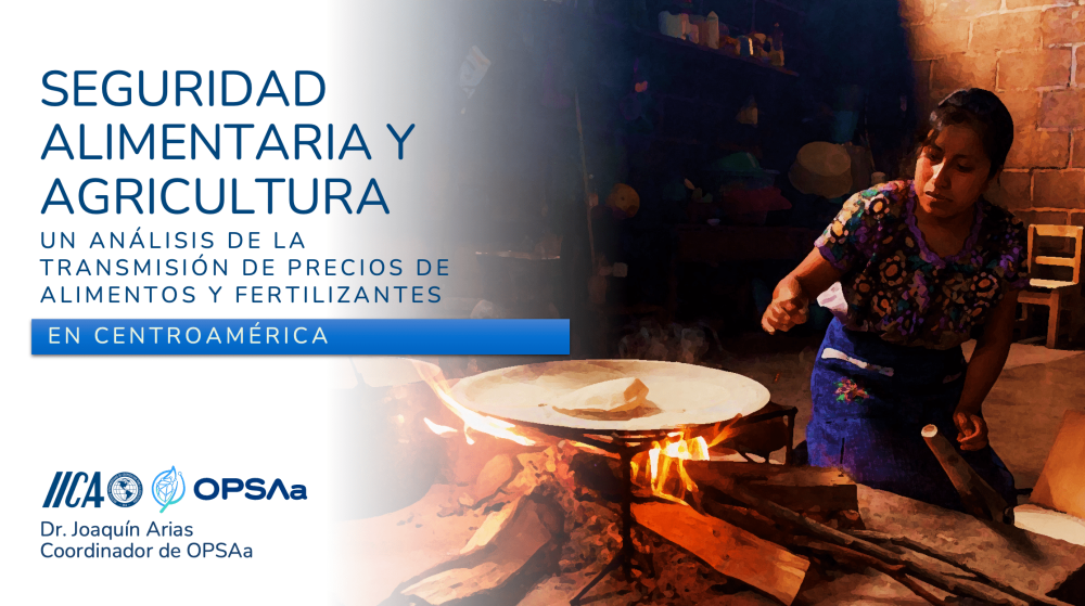 Food Security and Agriculture: An analysis of food and fertilizer price transmission.