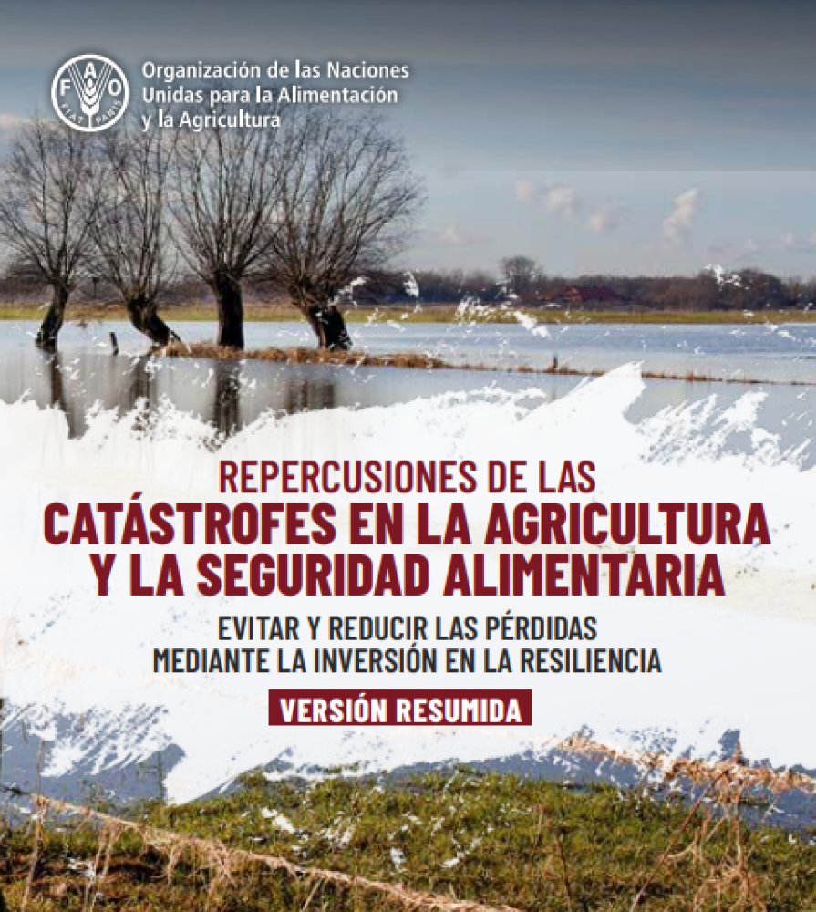 Repercusiones de las catástrofes en la agricultura y la seguridad alimentaria 2023: Evitar y reducir las pérdidas mediante la inversión en la resiliencia.