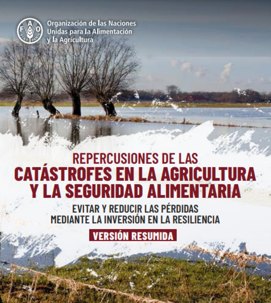 Impacts of disasters on agriculture and food security 2023: Avoid and reduce losses by investing in resilience.
